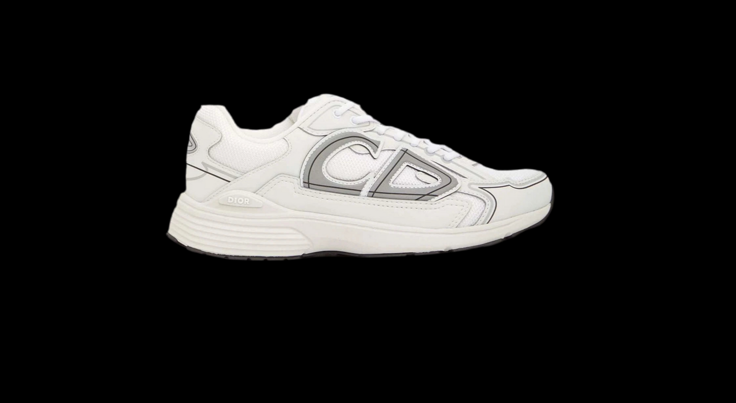 DIOR Sneaker B30 (x stone island)