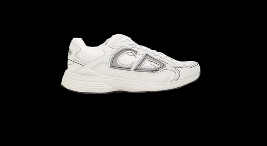 DIOR Sneaker B30 (x stone island)